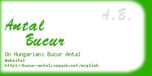 antal bucur business card